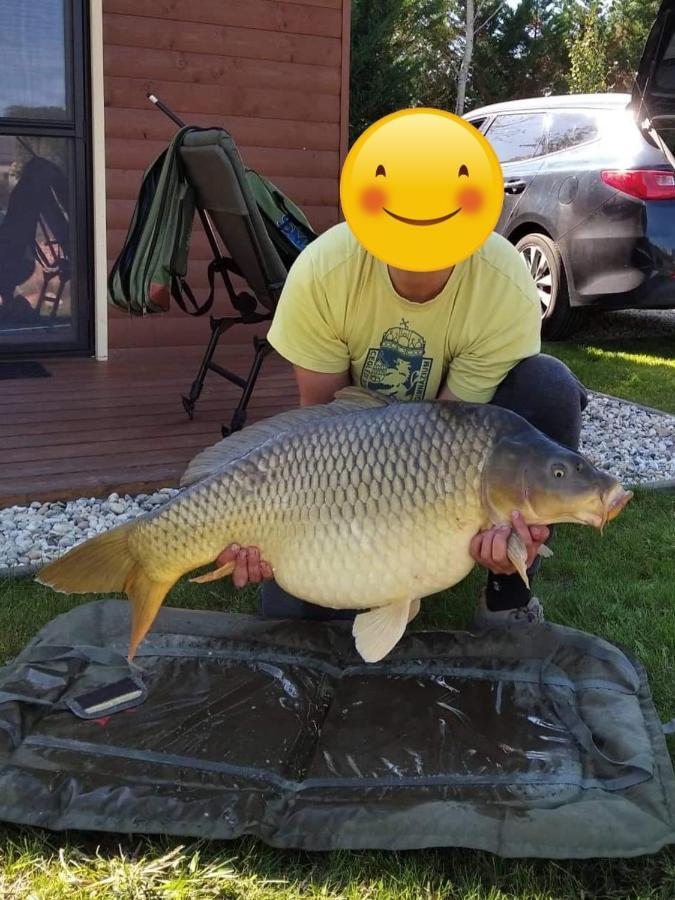 Intertranscoop Lake House Vámosszabadi Zewnętrze zdjęcie